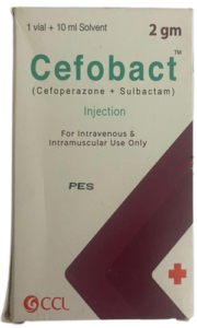 Cefobact