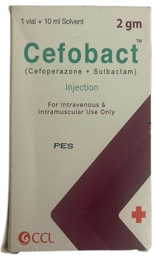 Cefobact