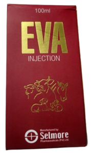 EVA EVA