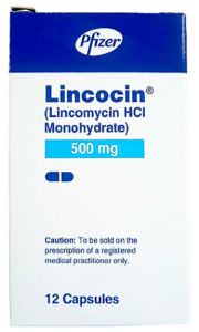 Lincocin