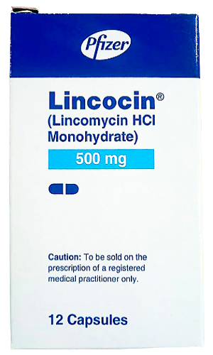 Lincocin