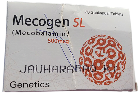 Mecogen SL