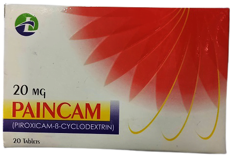 Paincam