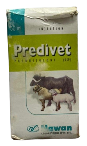 Predivet
