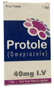 Protole