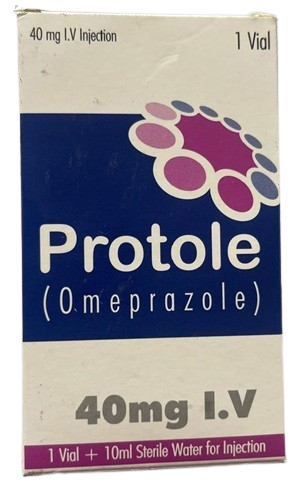 Protole